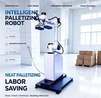 Nueva Versión de Brazo Robótico Colaborativo Resistente al Desgaste, Robot de Paletización para Estación de Paletización Logística