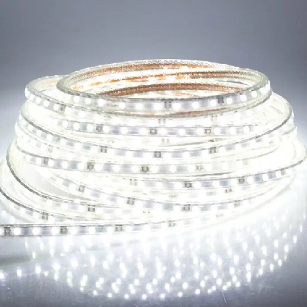 50M/Rol 100M/Rol 110V 220V 2835 Led Strip Licht Buiten Vakantie Ropelight Woonlicht Waterdicht Rgb Strip Licht