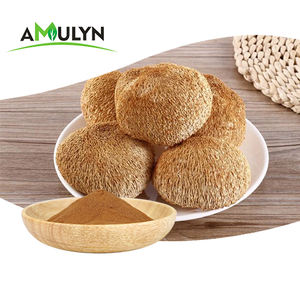 Estratto di Hericium erinaceus naturale 10:1 criniera di leone/estratto di funghi criniera in polvere 10% polisaccaridi - Product Image 5