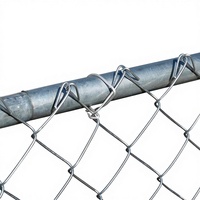 Clôture de protection pour autoroute, route montagneuse, pont, en treillis métallique losangé en acier galvanisé et revêtu de PVC, 6 pieds