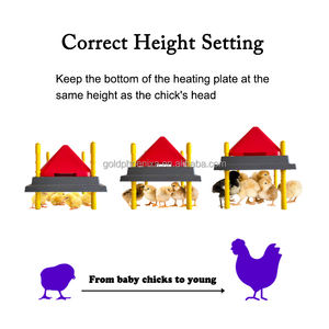 YYC termostatik hayvanlar Pet isıtıcı isıtıcı kanatlı kuş isıtma plakası bebek civciv Brooder isıtıcı - Product Image 4