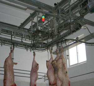 Domuz Abattoir makineleri için günde domuz konteyner mobil/hareketli kesim makinesi et işleme ekipmanları - Product Image 6