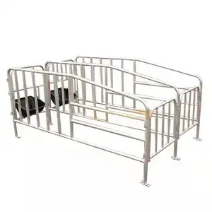 Xây Dựng Hiện Đại Pig/Swine/Hog Farming Auto Thiết Bị Turn-Key Nhà Cung Cấp Dự Án/Pig Stall