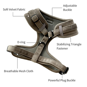 Kedatangan Baru <span class=keywords><strong>2026</strong></span> Premium Mewah Berkualitas Tinggi Fashion Tanpa Tarikan Dapat Disesuaikan Logo Kustom Set <span class=keywords><strong>Harness</strong></span> Beludru untuk Kucing dan Anjing - Product Image 3