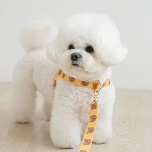 Conjunto de Arnés para Perro y Gato, Collar y Correa Ajustables, Arnés para Mascotas para Paseos al Aire Libre - Product Image 5