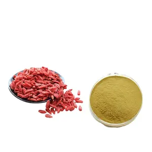 Chiết Xuất Quả Goji Hữu Cơ/Goji Polysaccharide/Chiết Xuất Quả Wolfberry