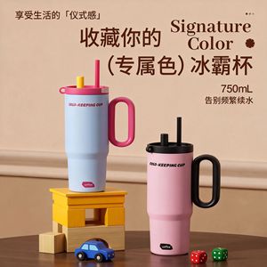Giant Ice King <b>Mug</b> 750Ml Cold Keeping Cup With Handle For Travel And Daily Use - Product Image 1