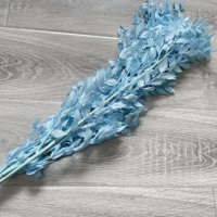 Fleurs de Ruscus séchées et conservées les plus populaires, feuilles naturelles blanchies pour la décoration de la maison/du bureau, événements - Saint-Valentin, remise de diplôme