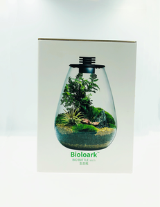 Biolark <span class=keywords><strong>Bouteille</strong></span> de <span class=keywords><strong>terrarium</strong></span> <span class=keywords><strong>en</strong></span> <span class=keywords><strong>verre</strong></span> scellée avec couvercle <span class=keywords><strong>pour</strong></span> décoration de plantes, pot écologique <span class=keywords><strong>pour</strong></span> micro paysage (SD175/200) - Product Image 2