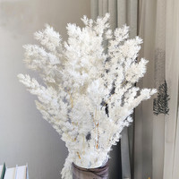 Décoration de mariage, fleurs préservées, feuilles préservées, fleurs éternelles blanchies, matériaux pour la conception de mariage
