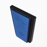 Trophée en acrylique personnalisé APEX, plaque avec logo personnalisé, récompenses pour la reconnaissance des employés, reconnaissance d'entreprise