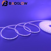 Tira de Luces LED RGB Inteligente de 5m 10m 20m 24V 60Leds/m con Control Remoto IP67, Luces de Neón LED Multicolores para Sala de Estar y Hogar