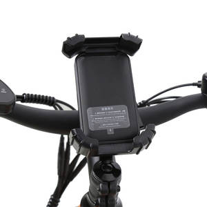 लोकप्रिय 36 वी 250 डब्ल्यू रियर हब मोटर ईबाइक 7 स्पीड ईबाइक 7 स्पीड ईबाइक - Product Image 4