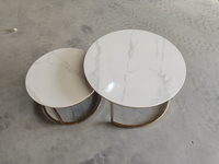 Ensemble de table basse avec acier inoxydable chromé et céramique/pierre frittée pour salon