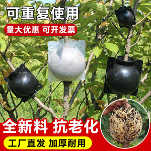 <b>Plant</b> Air Layering Propagation Box Black Transparent Plastic <b>Wall</b> <b>Mounted</b> Rooting Device For Tree Grafting Horticulture - Product Image 1