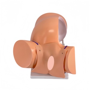 Simulateur d'accouchement mécanique avec accouchement en rotation-Modèle de formation obstétrique avancée pour l'éducation des sages-femmes - Product Image 2