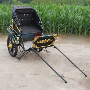 Exquisita Carreta de Caballos de 2 Ruedas en Perfecto Estado, Tallada, para Viajes al Aire Libre, Carroza de Boda, Transporte Especial de Acero de Primera Calidad - Product Image 2