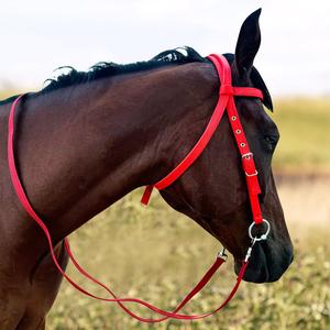 Bridon d'entraînement pour chevaux, design durable et confortable, cuir véritable de haute qualité, personnalisable, OEM NAFKO - Product Image 6