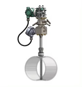 Débitmètre d'eau à section variable personnalisable 100 % original Yokogawa VERIS Accel, excellent prix, OEM VERIS Accel - Product Image 2