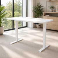 Bureau assis-debout électrique à double moteur, réglable en hauteur, pour le télétravail, mobilier de bureau intelligent