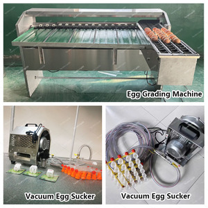 Máquina Clasificadora de Huevos Automática por Tamaño y Tipo de <span class=keywords><strong>Plato</strong></span>, en Venta - Product Image 4