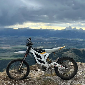 Nouvelle Moto Tout-Terrain Électrique 79BIKE 16800KW 2025 avec Étanchéité IP68 - Product Image 2