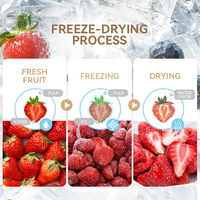 Airwoods 4kg Fruit Vriesdroogmachine 4 Trays Kleine Mini Vacuüm Huishoudelijke Vriesdroogapparatuur voor Fruit en Voedsel