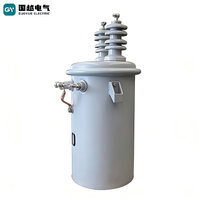Transformateur électrique à huile moyenne tension 33 kV 100 kVA-300 kVA avec sortie 220 V/110 V monté sur poteau