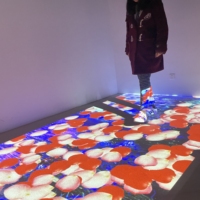 Hot Sale 3D Holographic Free Projection Mapping Software