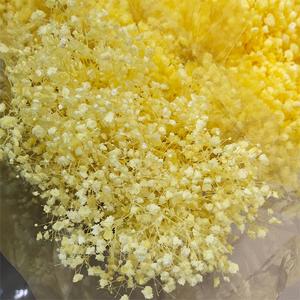 Cadeau en gros pour les femmes Bouquet de fleurs séchées romantique fleur de gypsophile conservée gypsophile séchée babybreath - Product Image 2