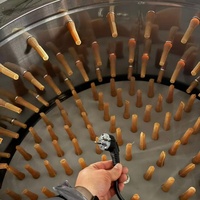 Plumeuse Industrielle Automatique pour Volailles XM30 – Équipement de Traitement de la Volaille – 1 à 3 Cailles par Plumeage