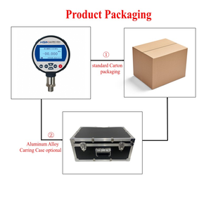 Calibrador Digital de Manómetro de Acero Inoxidable HSIN685, 1000 bar, Alta Precisión, 0.05%FS de Precisión, Comunicación RS232/USB - Product Image 6