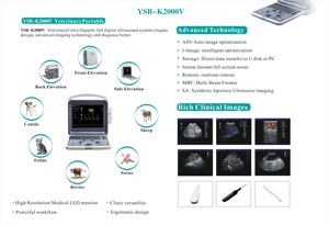 Ecógrafo Portátil Veterinario YSB-K2000V YSENMED, Ecógrafo <span class=keywords><strong>Doppler</strong></span> Color para Animales, Escáner de Ultrasonido Veterinario, Ultrasonido para Mascotas, Color 3D - Product Image 4