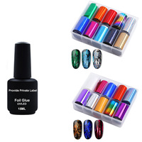 Feuille d'impression par transfert 3D, gel non toxique, vernis à ongles, design d'art des ongles, peinture UV LED, fournisseur de vernis à ongles