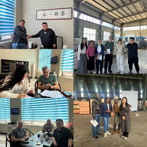 Máquina <span class=keywords><strong>de</strong></span> Prueba <span class=keywords><strong>de</strong></span> Carga Puntual para Pruebas <span class=keywords><strong>de</strong></span> Resistencia del Cemento en Laboratorios <span class=keywords><strong>de</strong></span> Construcción - Product Image 6