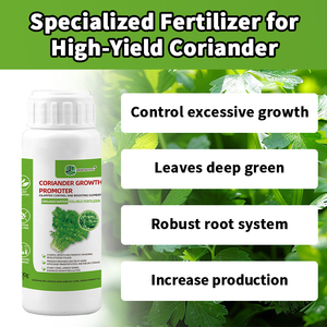 高収量コリアンダー用特殊肥料有機水溶性肥料有機肥料コリアンダー肥料 - Product Image 4