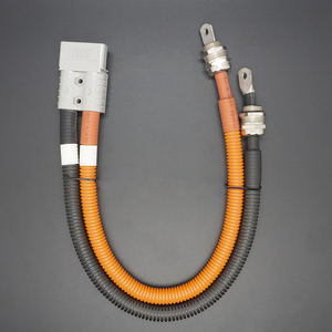 工厂定制高品质 2 针 120A 连接器至电缆接头和管端子汽车线束 - Product Image 3