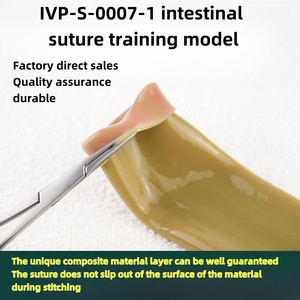 คลิปหนีบขดลวดสำหรับนักเรียนทางการแพทย์ช่วยสอนวิทยาศาสตร์ทางการแพทย์แบบจำลองการเย็บลำไส้ - Product Image 3