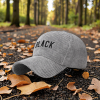 Gorro de Béisbol Deportivo Estilo Coreano Otoño Invierno, Gorra de Pana con Bordado, Hebilla Dorada de Cobre, Versátil