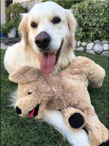 Nouveau jouet en peluche doux et câlin pour chien Golden Retriever, jouet à mâcher en peluche pour aire de jeux, cadeau pour enfants, jouet pour chien de grande taille et chiot - Product Image 5