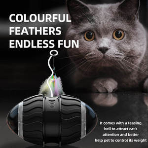 Nuevo diseño, juguetes de bolas para gatos ecológicos, multifunción, interactivo y de movimiento, suministros para mascotas, coche de equilibrio chirriante con hierba gatera - Product Image 5