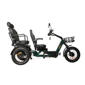 Tricycle à 2 places 1750W 60Ah avec une batterie, siège orienté vers l'avant, pour la famille, longue autonomie 200KM, puissance totale du moteur double 1750W (75 - Product Image 4