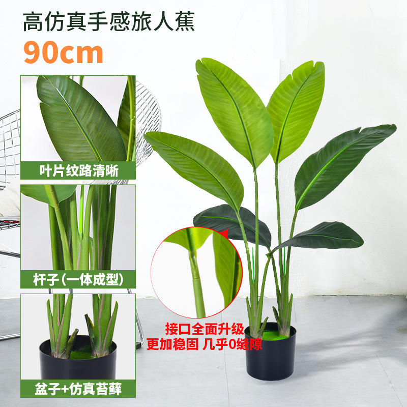 90cm traveler banana (6 leaves) green