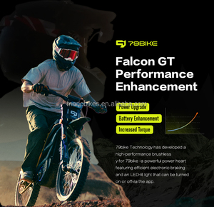 Motocross électrique tout-terrain Falcon <span class=keywords><strong>GT</strong></span> 16 8kw pour adultes 2025, 16800W, 100 km/h, cadre en alliage d'aluminium - Product Image 2