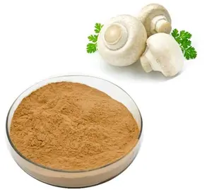 Professional Factory Supply Agaricus Bisporus Mushroom Extract of high quality with best price