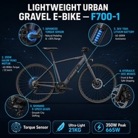 Vélo électrique en gros d'usine, pas cher, 29 pouces, 350W, OEM, VTT électrique pour adultes