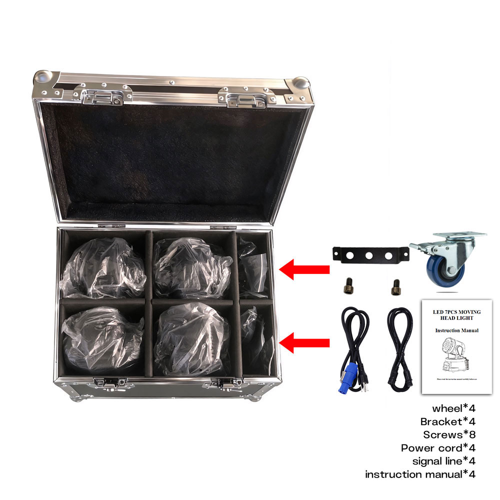 4 luci + flight case