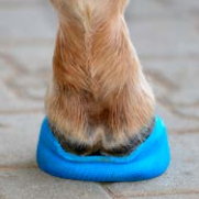 Senolo Meilleure vente 3 pouces 4 pouces fer à <span class=keywords><strong>cheval</strong></span> coulée fer à <span class=keywords><strong>cheval</strong></span> sabot soin prix usine vétérinaire pansement <span class=keywords><strong>cheval</strong></span> <span class=keywords><strong>sangle</strong></span> - Product Image 5