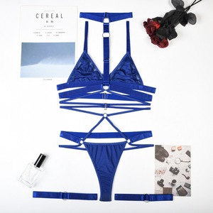 Nuevo Conjunto de Lencería de Lujo con Ligueros de Color Sólido y Bragas, Conjunto de Ropa Interior Sexy y Erótica de 4 Piezas - Product Image 6