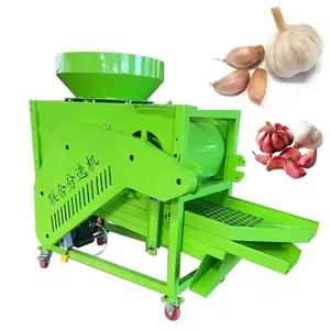 export model Vibration separation and screening of garlic cloves for sale